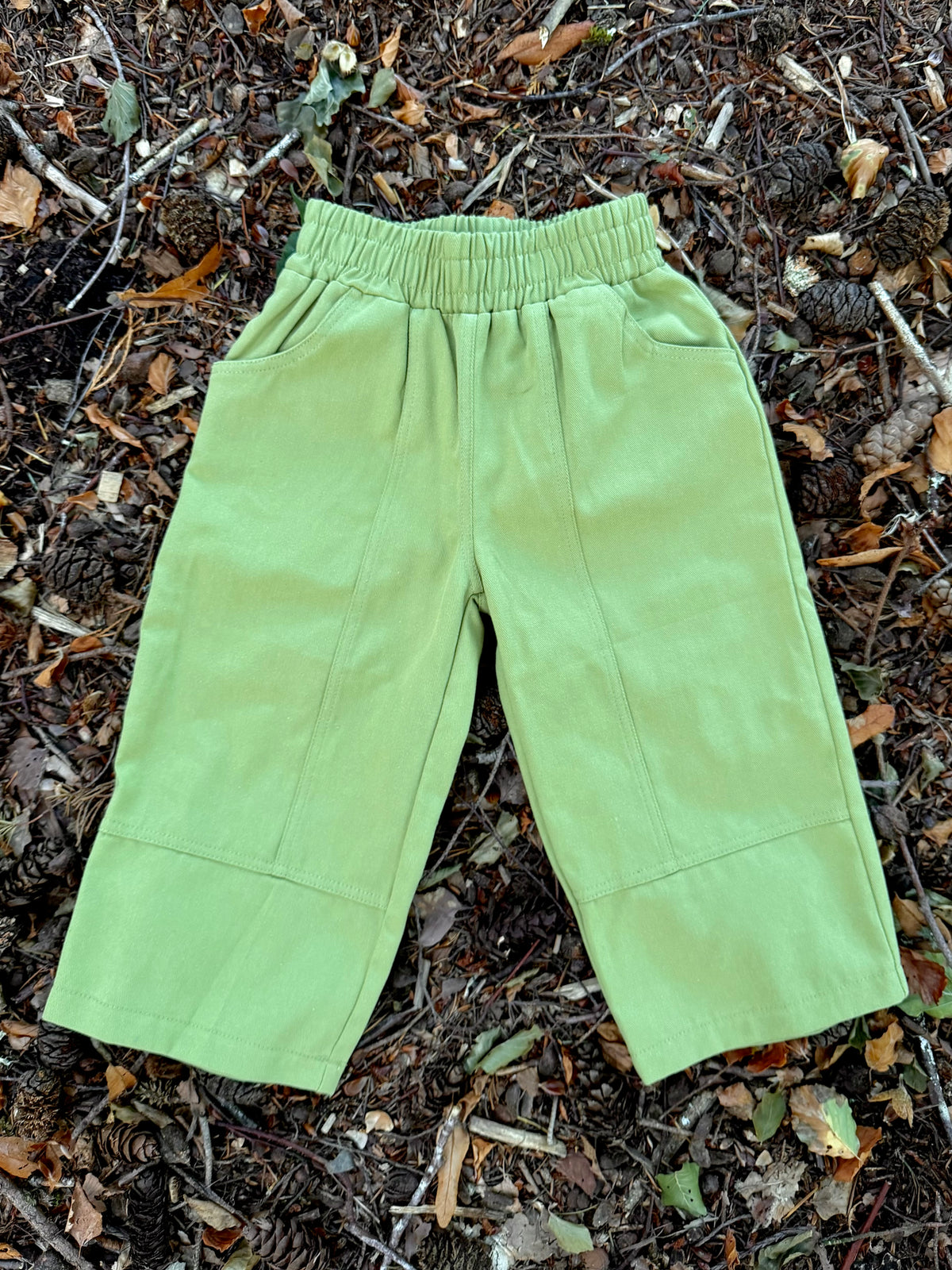 Forager Pants