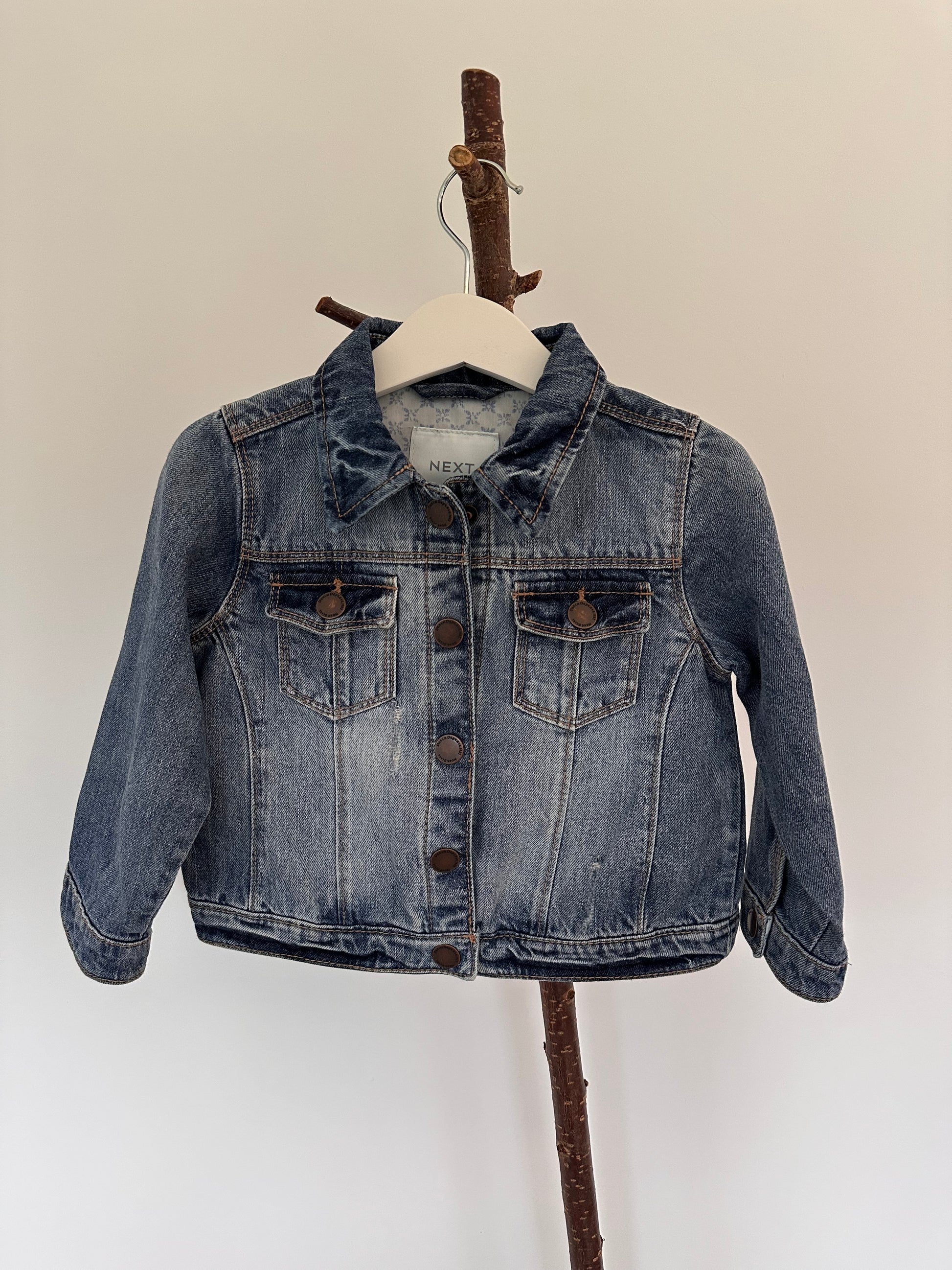 Blue denim jacket on a branch against a white background
